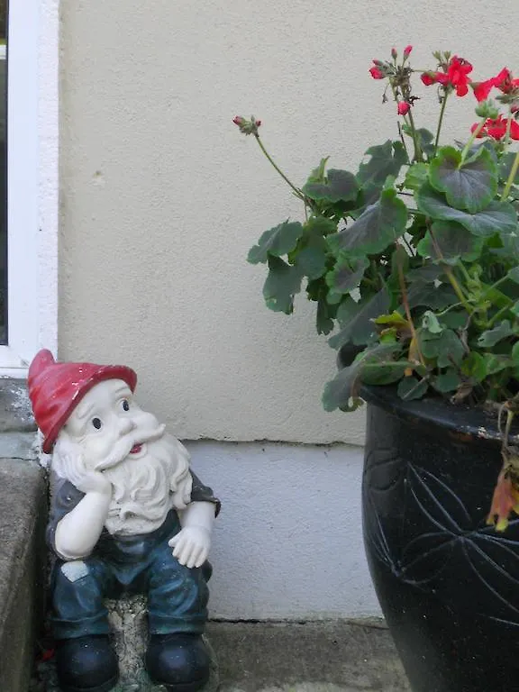 Airport Manor Accommodation Shannon